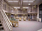 custody_Housing_mental