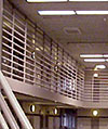 custody_Housing_mental2