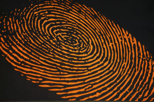 fingerprint 1