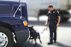 k9b