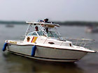 nav1